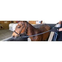 banners_equine