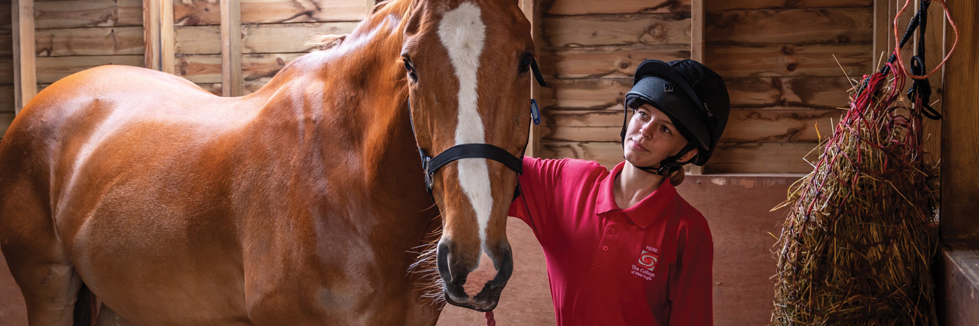 Course Banner - Equine and Horse Care