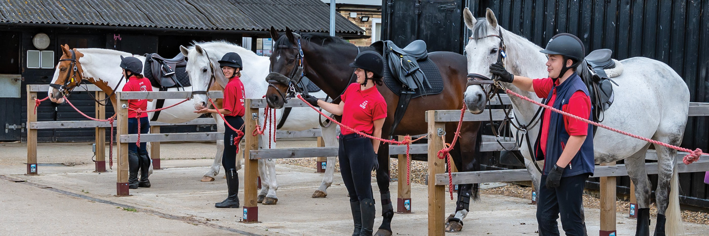 Course Banner - Equine and Horse Care 2