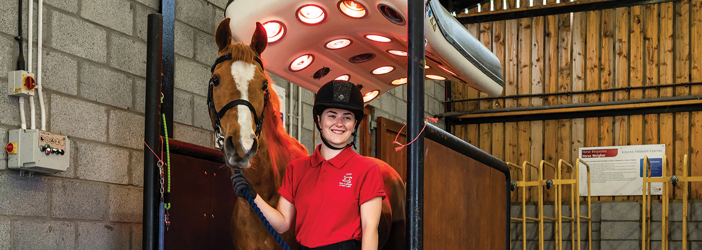 openPublic Banner - Equestrian 2