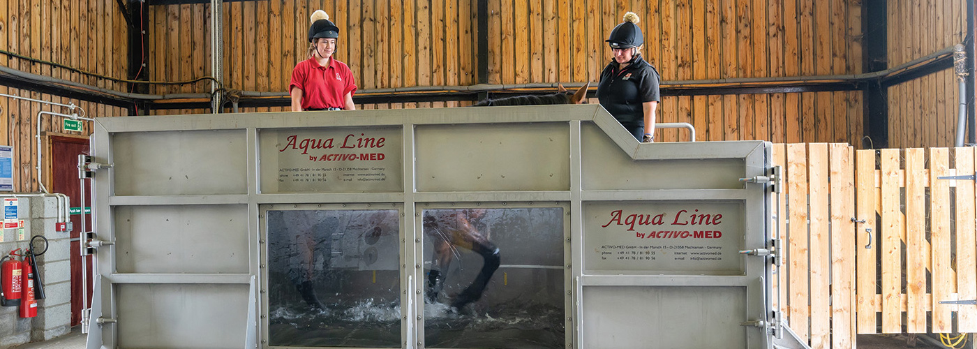 openPublic Banner - Equestrian 3